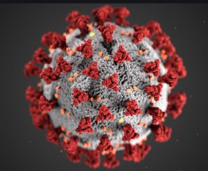 Imagen de célula de coronavirus.