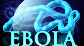 El dominio ebola.com en venta por 150.000 dólares.