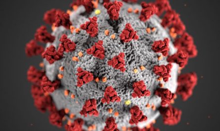 Imagen célula de coronavirus.