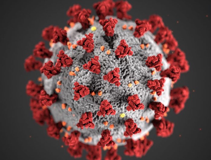 Quien es el dueño de coronavirus.com?