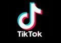 TikTok la red social de moda crece sin parar.