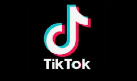 TikTok la red social de moda crece sin parar.